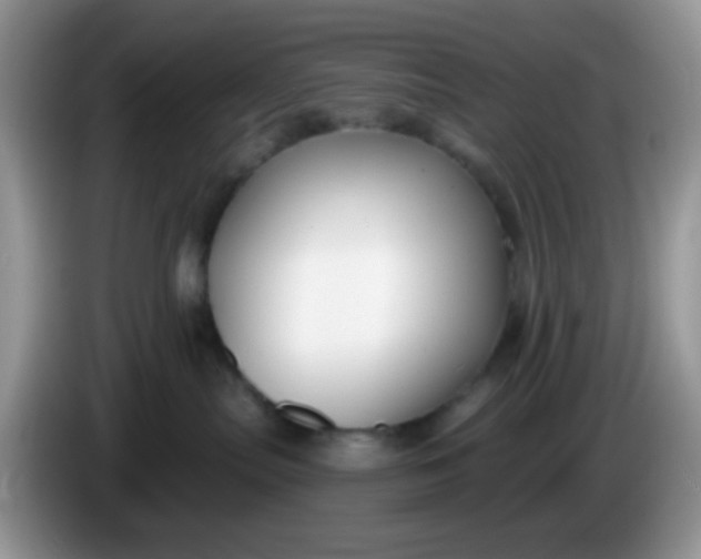 X0000086250287200704121957