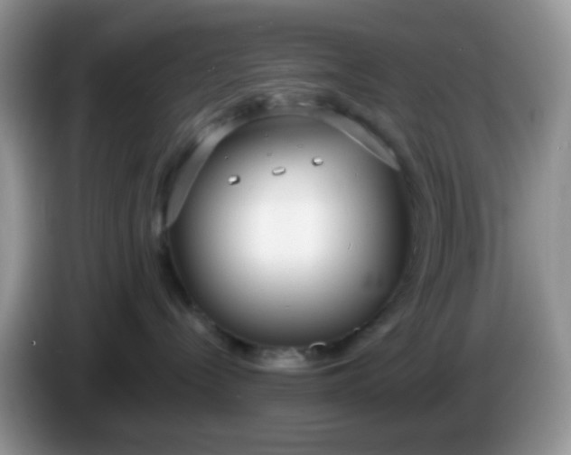 X0000086250288200704121957