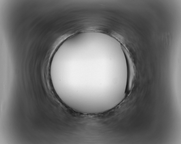 X0000086250289200704121957