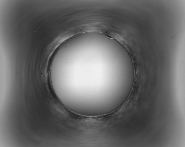 X0000086250290200704121957