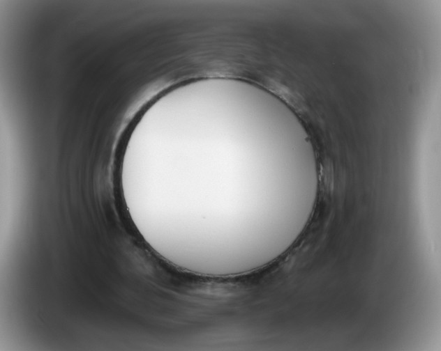 X0000086250292200704121957