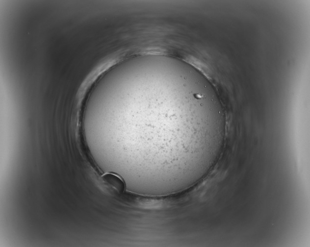 X0000086250293200704121957