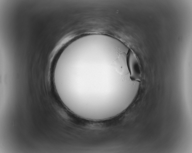 X0000086250296200704121957