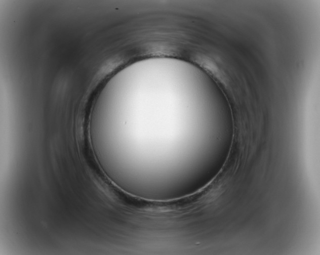 X0000086250299200704121957