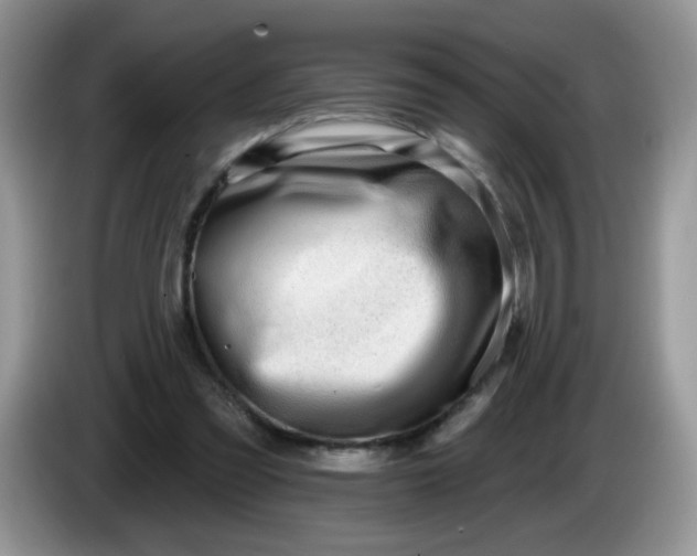 X0000086250301200704121957