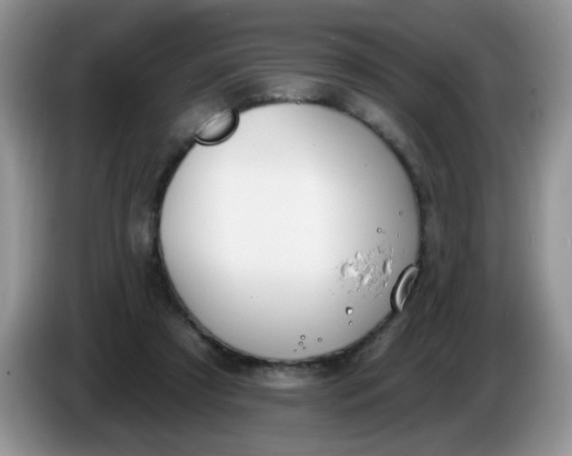 X0000086250305200704121957