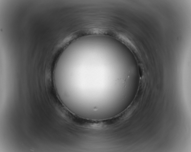 X0000086250306200704121957