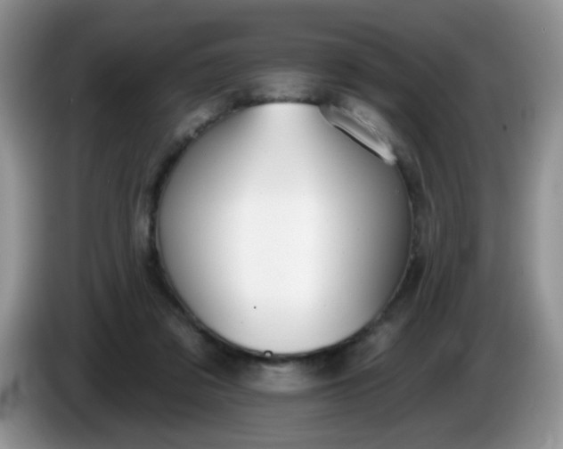 X0000086250309200704121956
