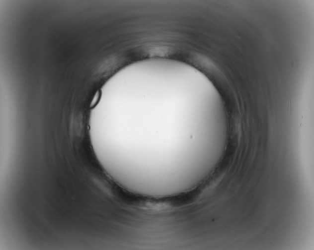 X0000086250311200704121956