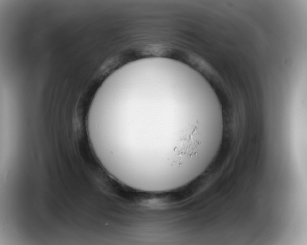 X0000086250312200704121956