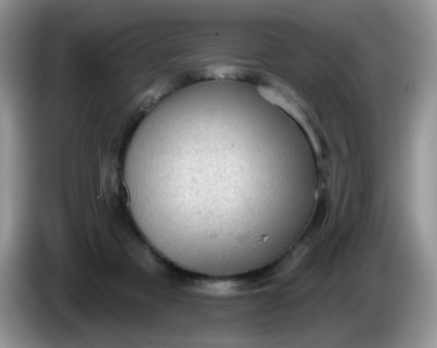 X0000086250313200704121956