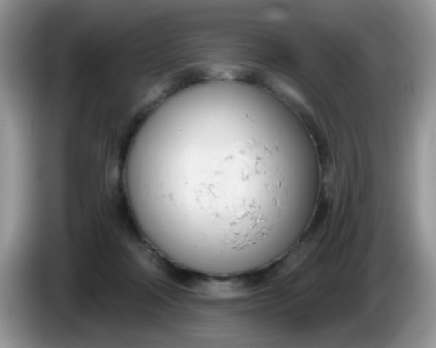 X0000086250314200704121956