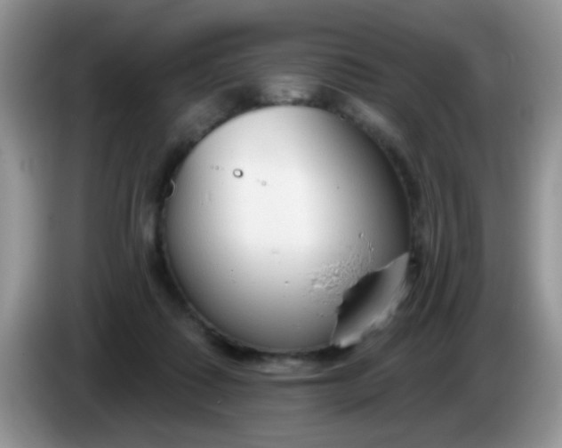 X0000086250315200704121956