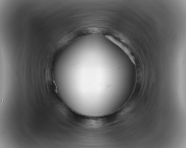 X0000086250317200704121956
