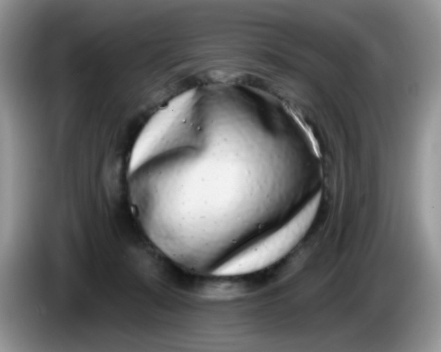 X0000086250319200704121956