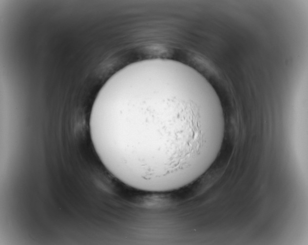 X0000086250320200704121956