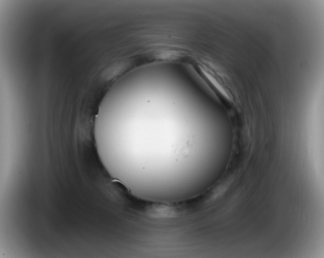 X0000086250325200704121956