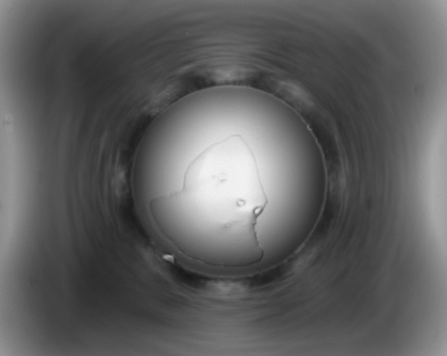 X0000086250327200704121956