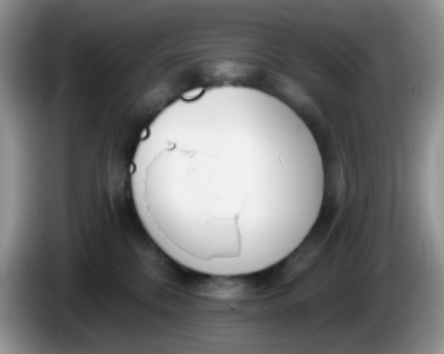 X0000086250328200704121956
