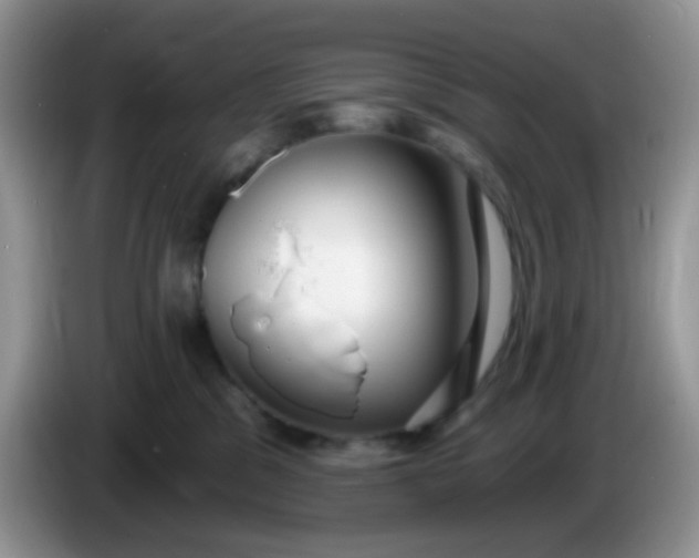 X0000086250329200704121956