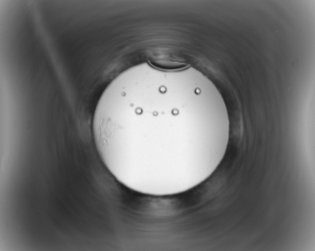 X0000086250332200704121956