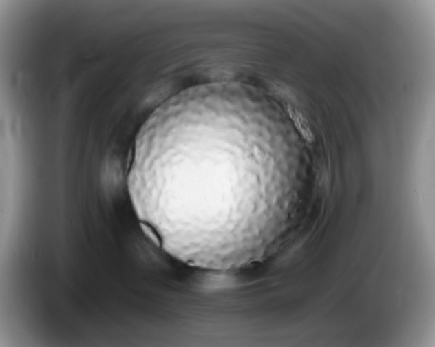 X0000086250335200704121956