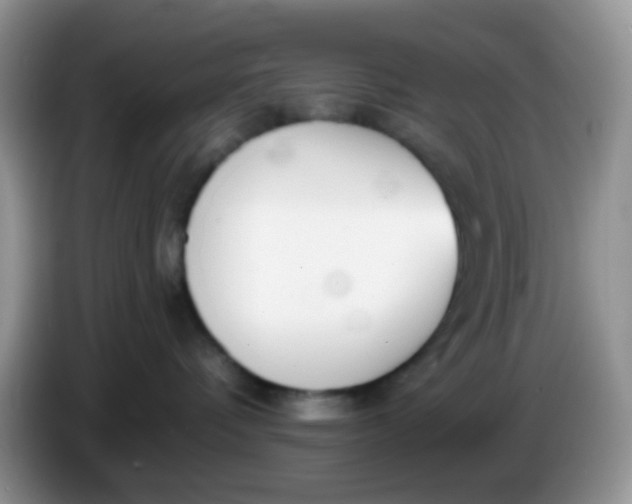 X0000086250336200704121956