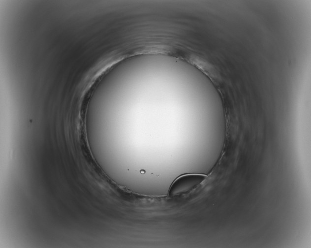 X0000086250338200704121956
