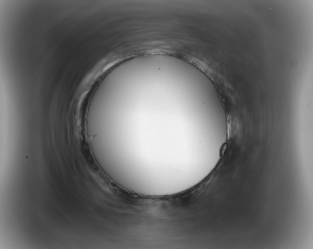 X0000086250339200704121956