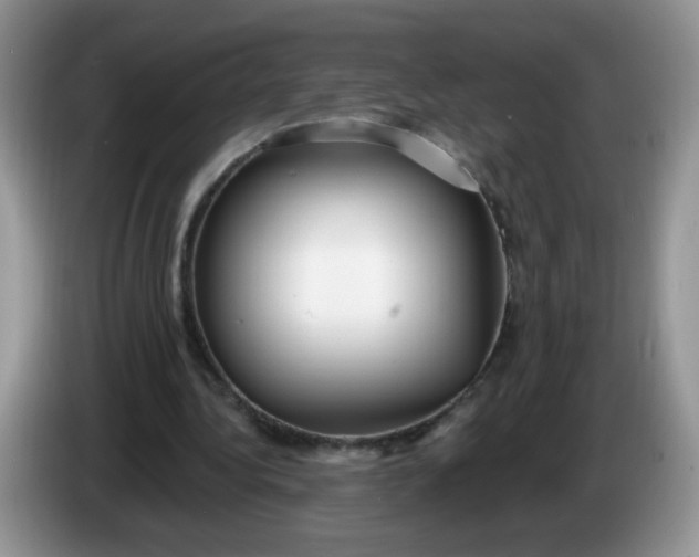 X0000086250340200704121956