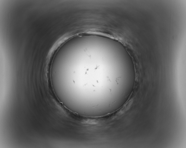 X0000086250341200704121956