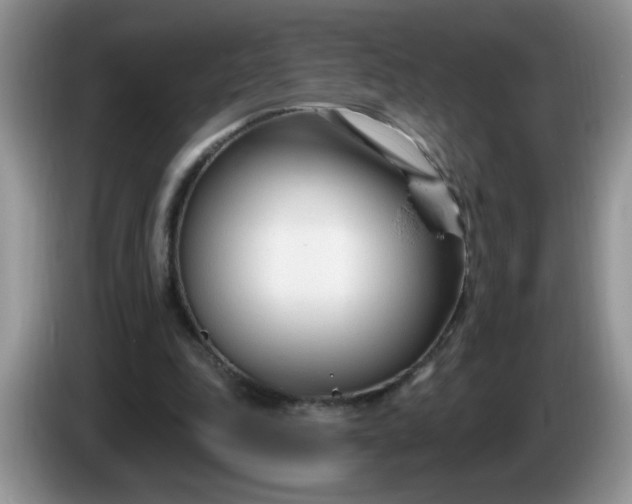 X0000086250343200704121956