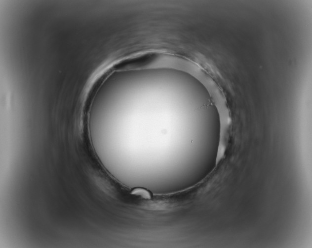 X0000086250344200704121956
