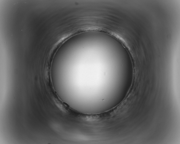 X0000086250345200704121956