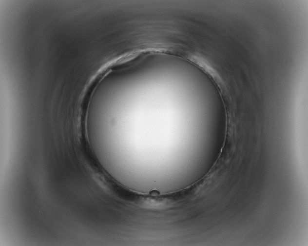 X0000086250346200704121956