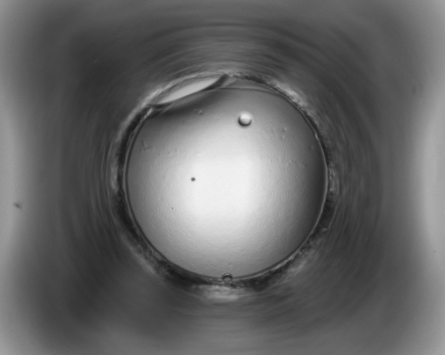 X0000086250347200704121956