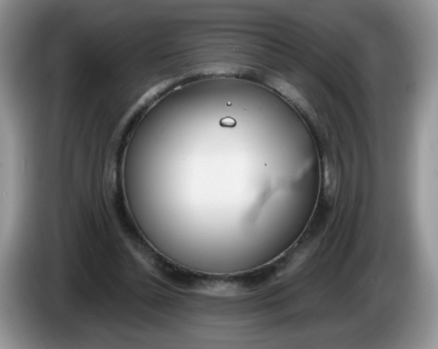 X0000086250348200704121956