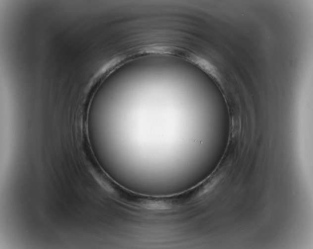 X0000086250349200704121956