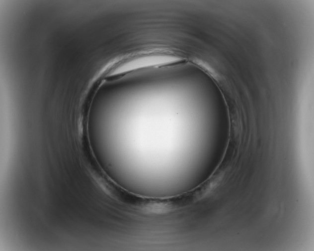 X0000086250350200704121956