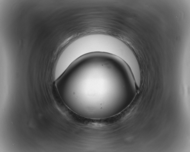 X0000086250352200704121956