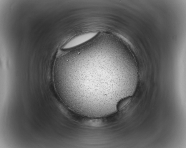 X0000086250353200704121956