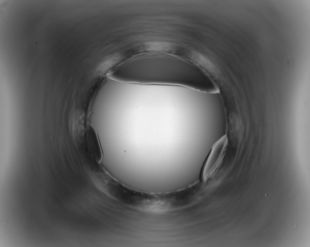 X0000086250356200704121956
