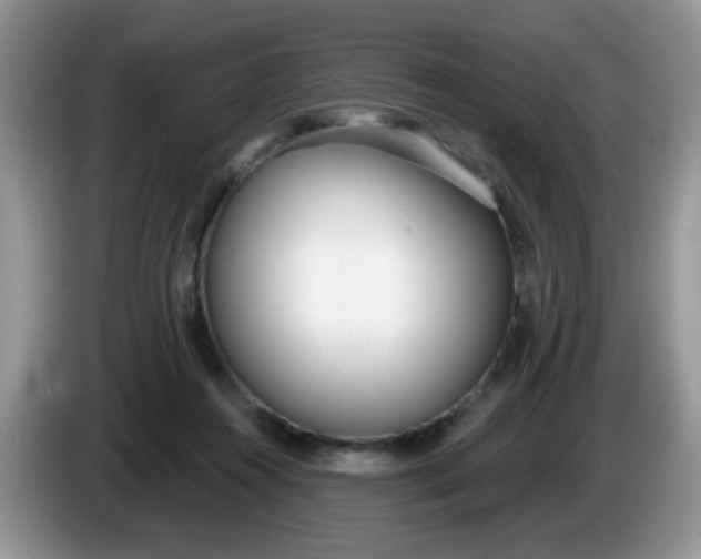 X0000086250360200704121956