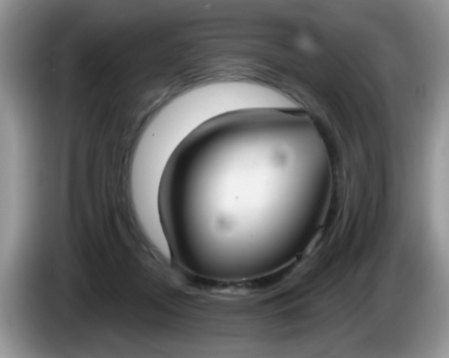X0000086250362200704121956
