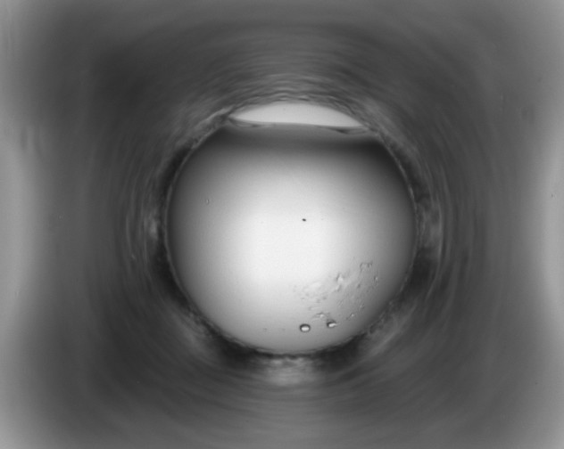 X0000086250363200704121956