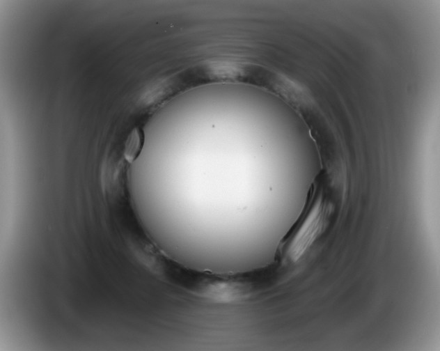 X0000086250364200704121956