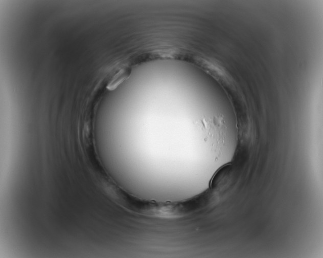 X0000086250365200704121956