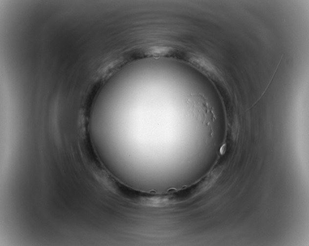 X0000086250366200704121956