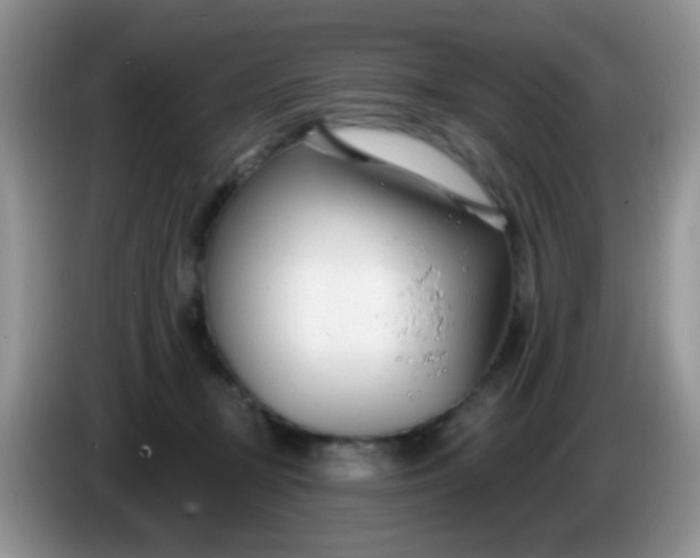 X0000086250367200704121956