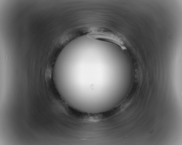 X0000086250368200704121956